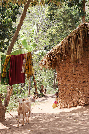 Mud Hut