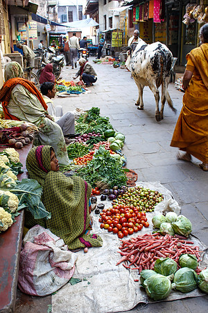 Veg Stall Varanasi